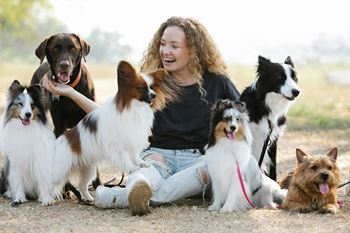 Reveal Heathrow Dog Park with a woman sitting on the ground with a group of dogs